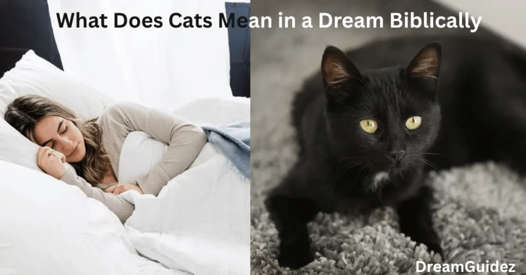 What Does Cats Mean In A Dream Biblically