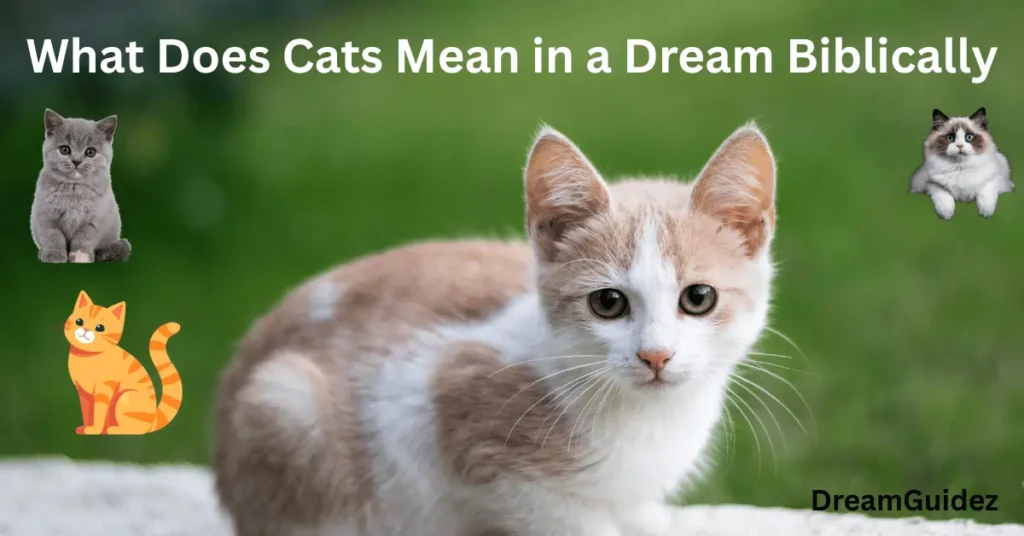 What Does Cats Mean In A Dream Biblically