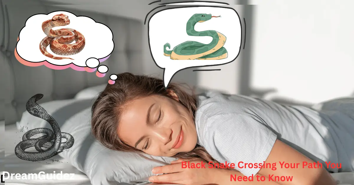 Meaning of a Black Snake Crossing Your Path