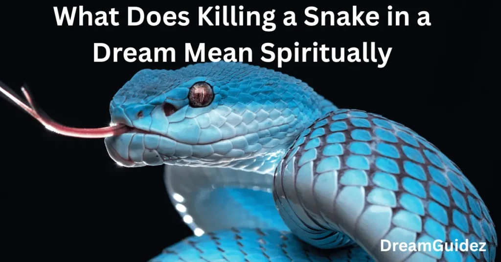 Someone Else Killing A Black Snake In Dream Biblical Meaning 