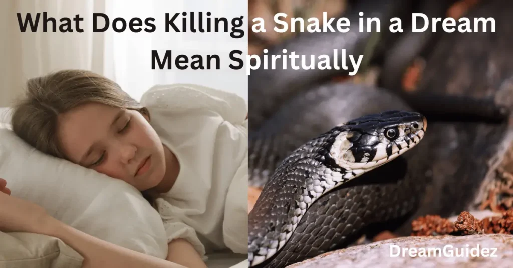7 Powerful Meanings Of Seeing A Black Rat Snake spiritual meaning In Dream 2 Meanings Of Seeing A Black Rat Snake spiritual meaning In Dream