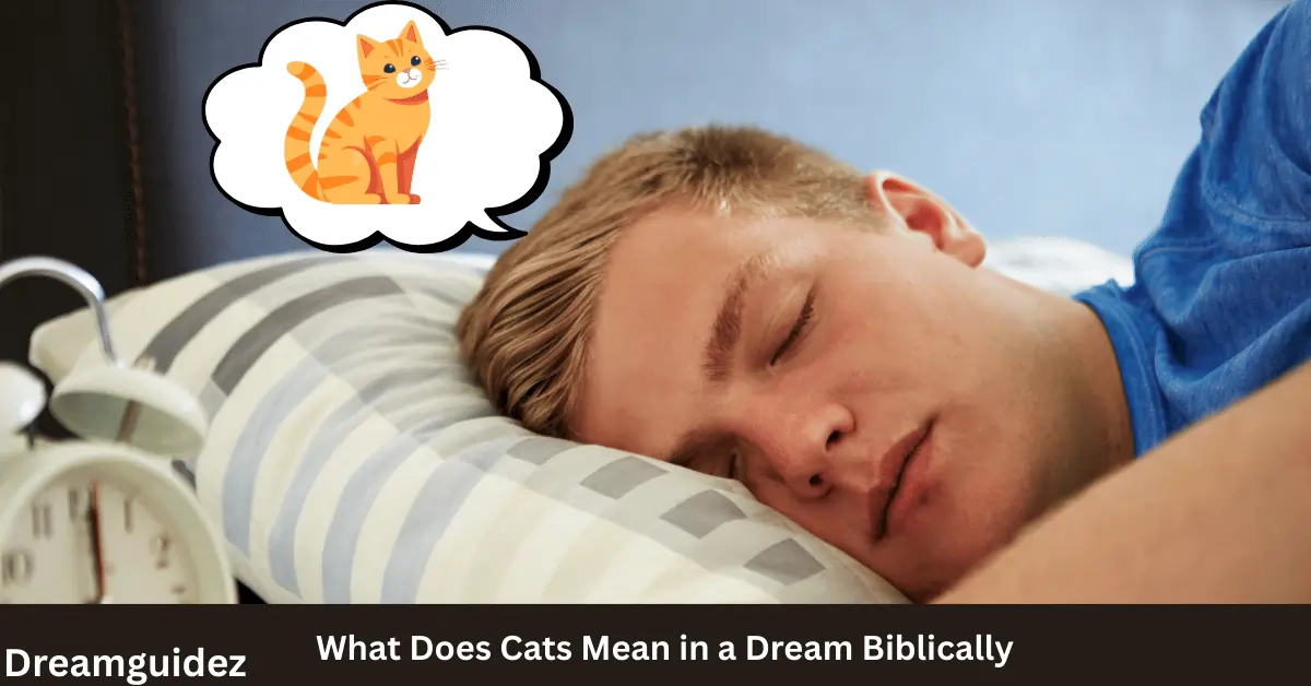 What Does Cats Mean in a Dream Biblically
