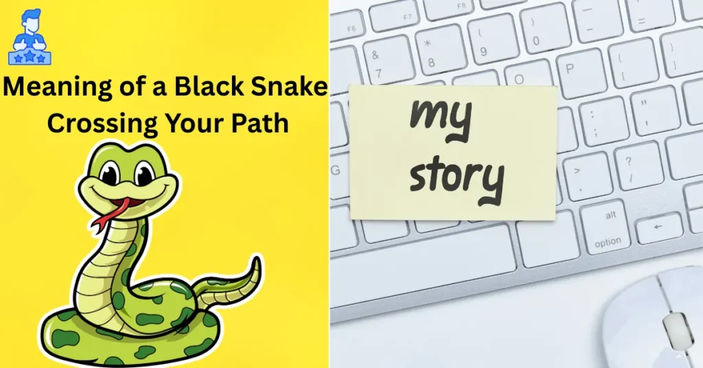 10 Powerful Meaning of a Black Snake Crossing Your Path You Need to Know 4 Meaning of a Black Snake Crossing Your Path