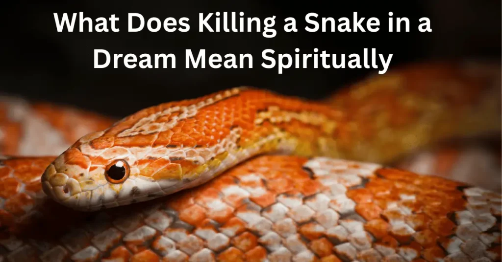 What Does Killing A Snake In A Dream Mean Spiritually? 7 Powerful Interpretations 2 What Does Killing A Snake In A Dream Mean Spiritually?