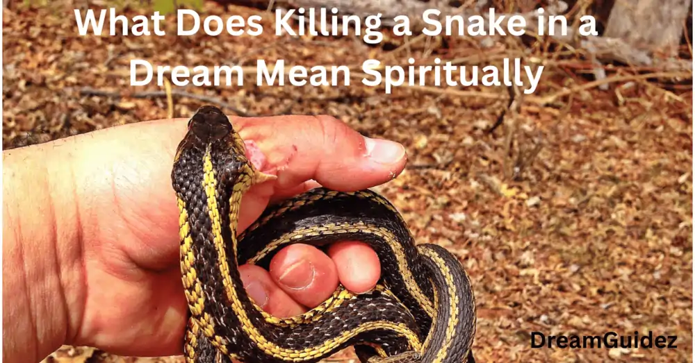 What Does Killing A Snake In A Dream Mean Spiritually? 7 Powerful Interpretations 4 What Does Killing A Snake In A Dream Mean Spiritually?