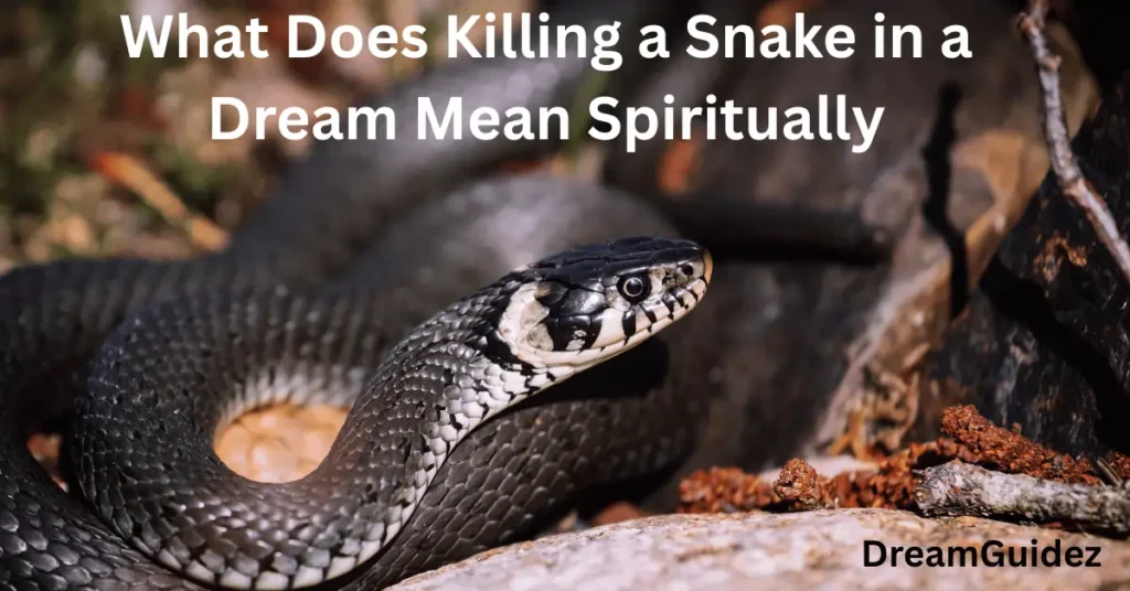 Someone Else Killing A Black Snake In Dream Biblical Meaning 
