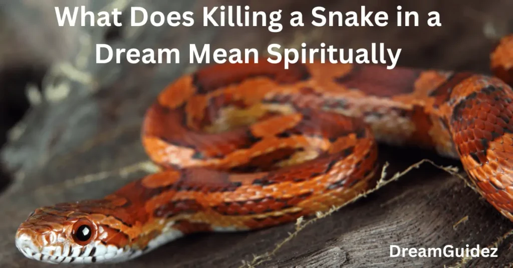 Someone Else Killing A Black Snake In Dream Biblical Meaning 