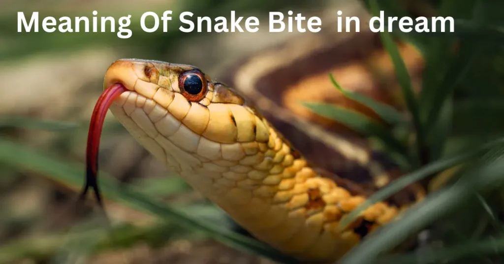 Spiritual Meaning Of Snake Bite In Dreams: A Signal You Shouldn't Ignore 2 Spiritual Meaning Of Snake Bite In Dreams