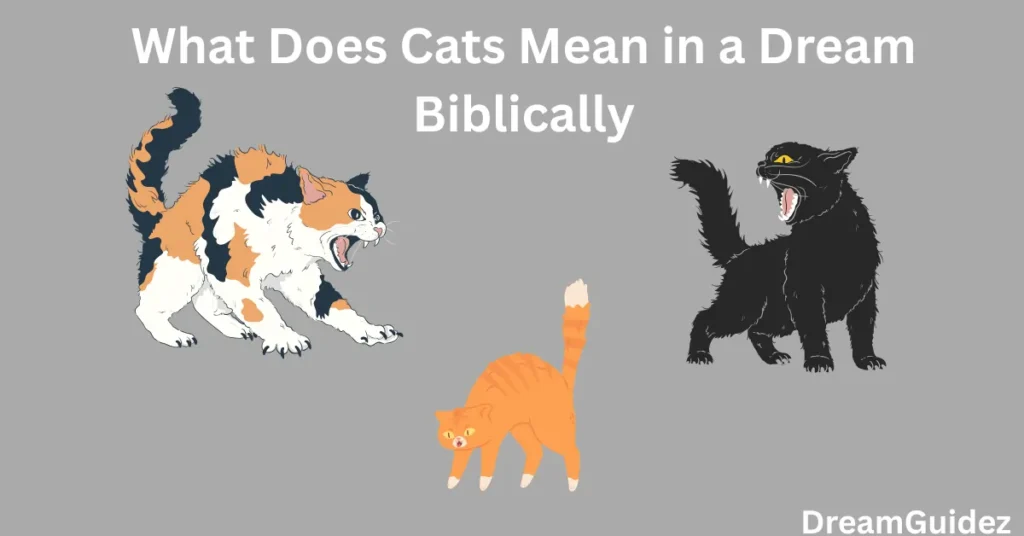 Spiritual Meaning Of A Cat Attacking You In A Dream 10 Hidden Truth 2 Spiritual Meaning of a Cat Attacking You in a Dream