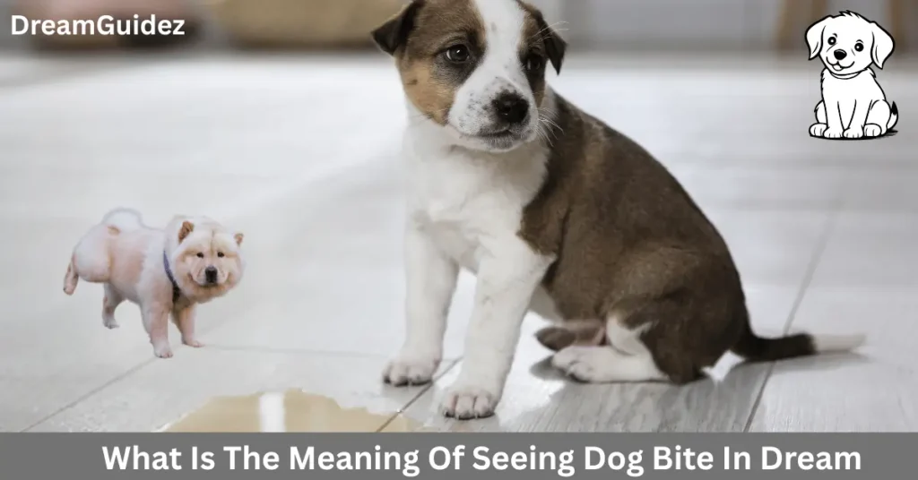 What Does It Mean to Dream Of A Dog Peeing In The House 2 What Does It Mean to Dream Of A Dog Peeing In The House