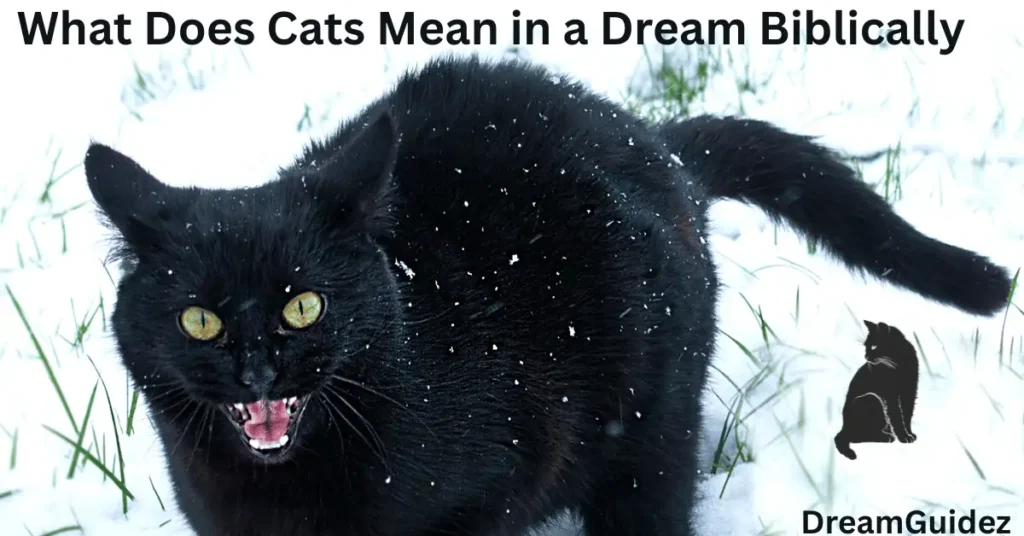 Spiritual Meaning Of A Cat Attacking You In A Dream 10 Hidden Truth 3 Spiritual Meaning of a Cat Attacking You in a Dream