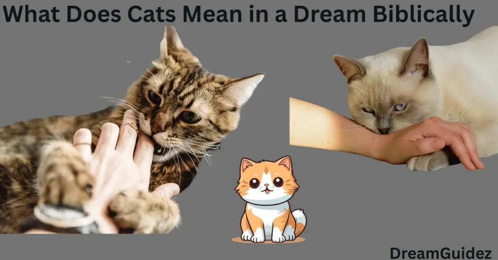 Spiritual Meaning Of A Cat Attacking You In A Dream 10 Hidden Truth 4 Spiritual Meaning of a Cat Attacking You in a Dream