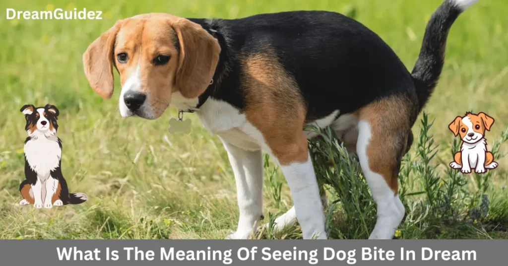 What Does It Mean to Dream Of A Dog Peeing In The House 4 What Does It Mean to Dream Of A Dog Peeing In The House