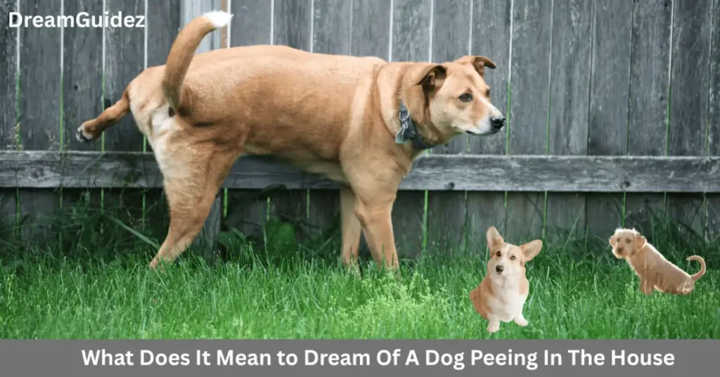 What Does It Mean to Dream Of A Dog Peeing In The House 5 What Does It Mean to Dream Of A Dog Peeing In The House