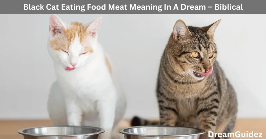 Black Cat Eating Food Meat Meaning In A Dream – Biblical And Spiritual Massage 2 Black Cat Eating Food Meat Meaning In A Dream – Biblical