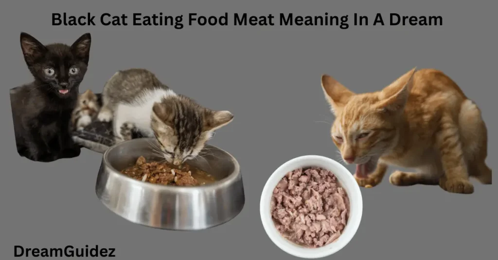 Black Cat Eating Food Meat Meaning In A Dream – Biblical And Spiritual Massage 4 Black Cat Eating Food Meat Meaning In A Dream – Biblical