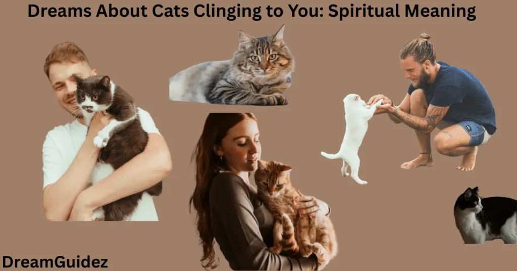 Dreams About Cats Clinging to You: Spiritual Meaning Uncovered 4 Dreams About Cats Clinging to You: Spiritual Meaning