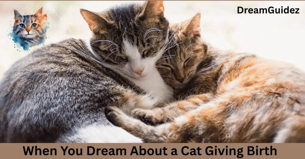 What Does It Mean When You Dream About A Cat Giving Birth 2 When You Dream About a Cat Giving Birth