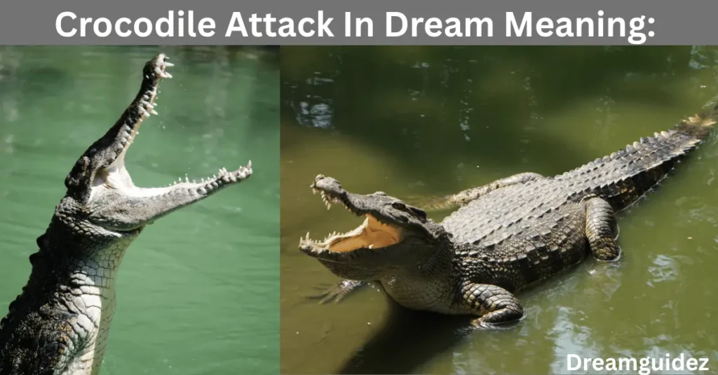Crocodile Attack In Dream Meaning: Spiritual Massage, you shouldn't ignore 