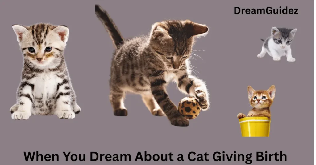 What Does It Mean When You Dream About A Cat Giving Birth 3 What Does It Mean When You Dream About a Cat Giving Birth