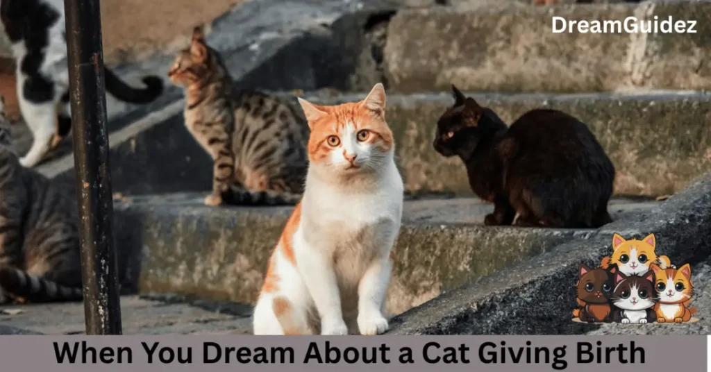 What Does It Mean When You Dream About A Cat Giving Birth 4 What Does It Mean When You Dream About a Cat Giving Birth