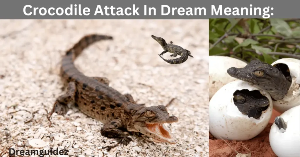Crocodile Attack In Dream Meaning: Spiritual Massage, you shouldn't ignore 