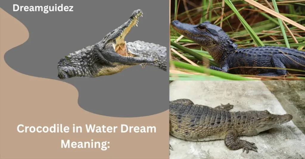 Crocodile in Water Dream Meaning Spiritual Message