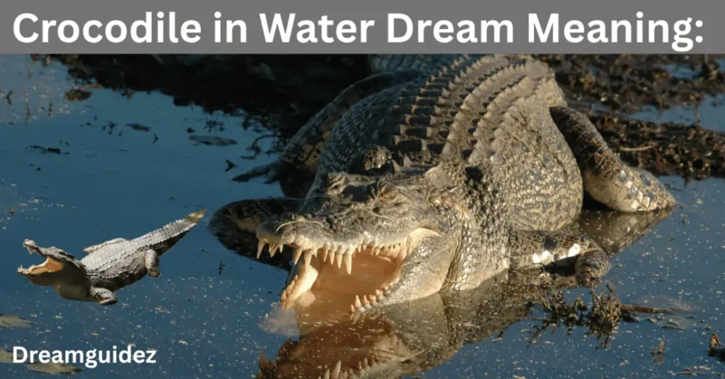Crocodile in Water Dream Meaning: Spiritual Message 