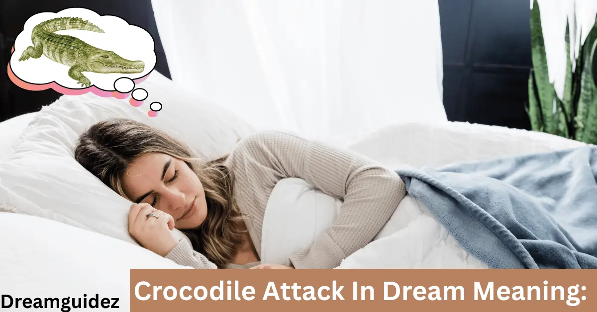 Crocodile Attack In Dream Meaning Spiritual Massage, you shouldn't ignore 
