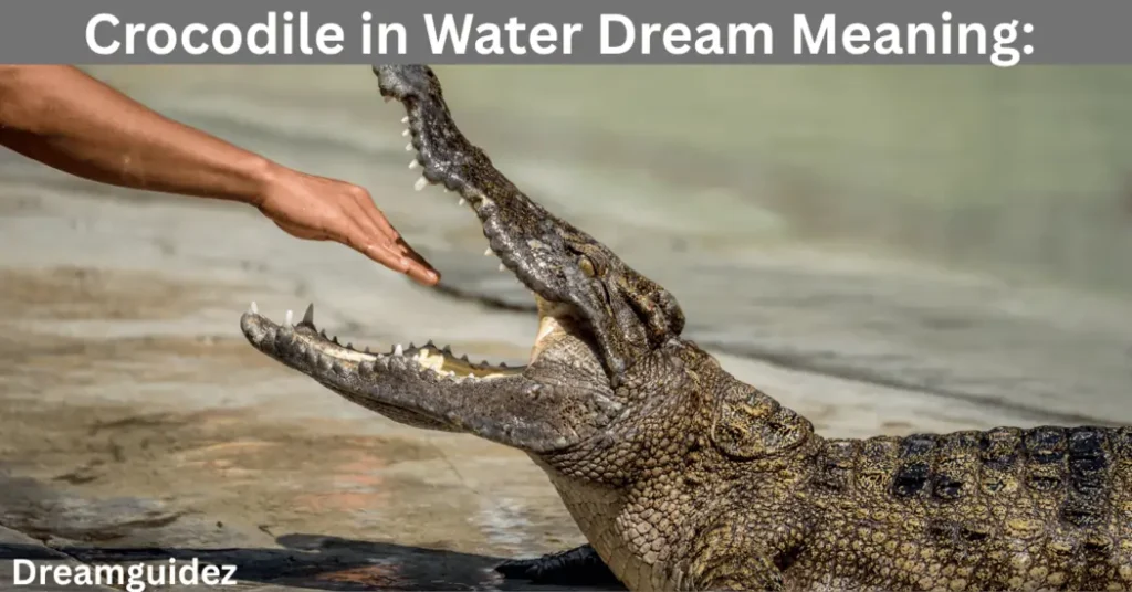 Crocodile in Water Dream Meaning Spiritual Message