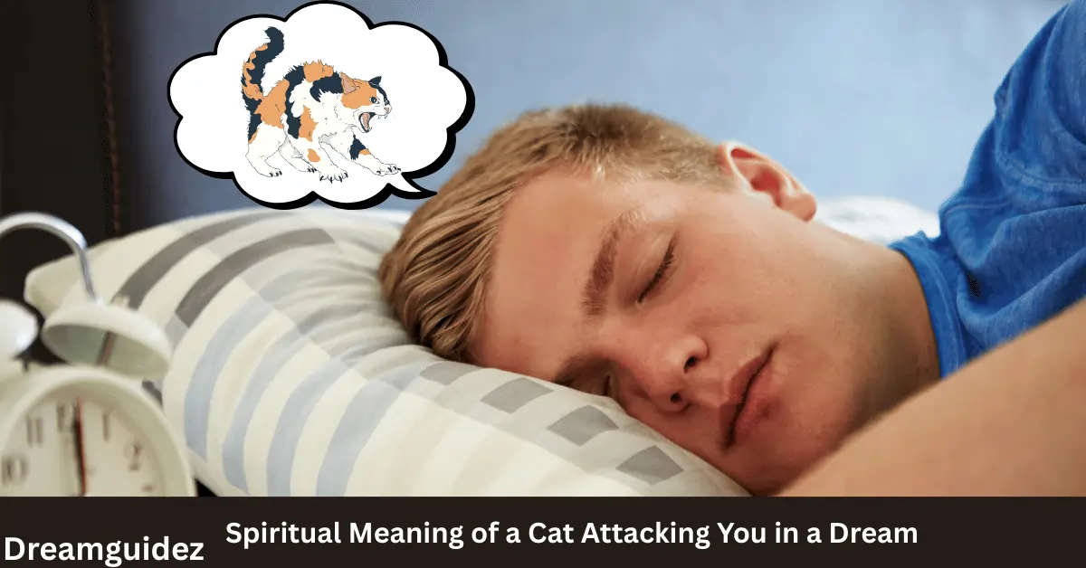 Spiritual Meaning of a Cat Attacking You in a Dream
