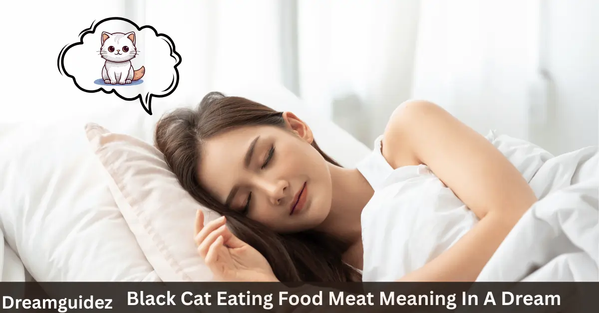 Black Cat Eating Food Meat Meaning In A Dream