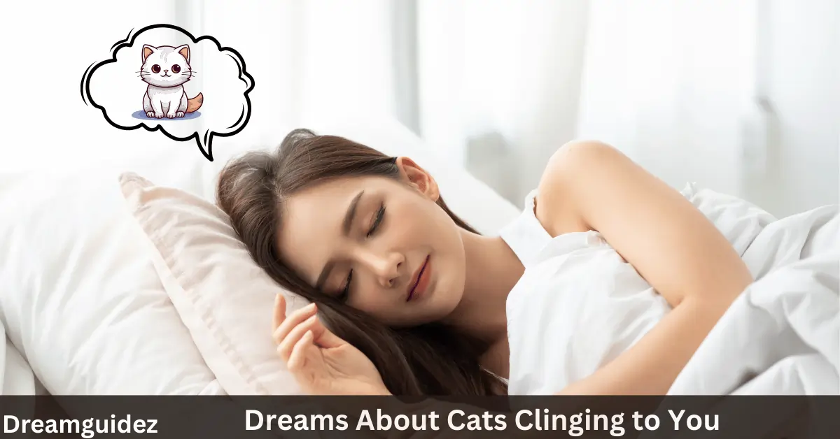 Dreams About Cats Clinging to You