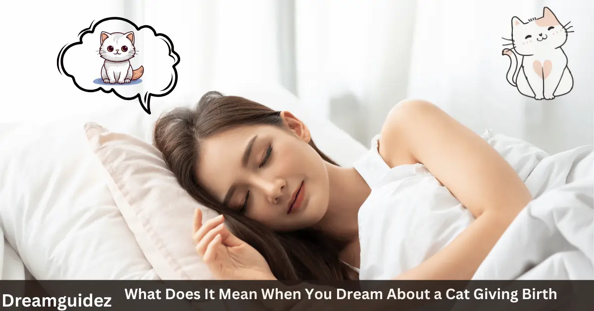 What Does It Mean When You Dream About a Cat Giving Birth