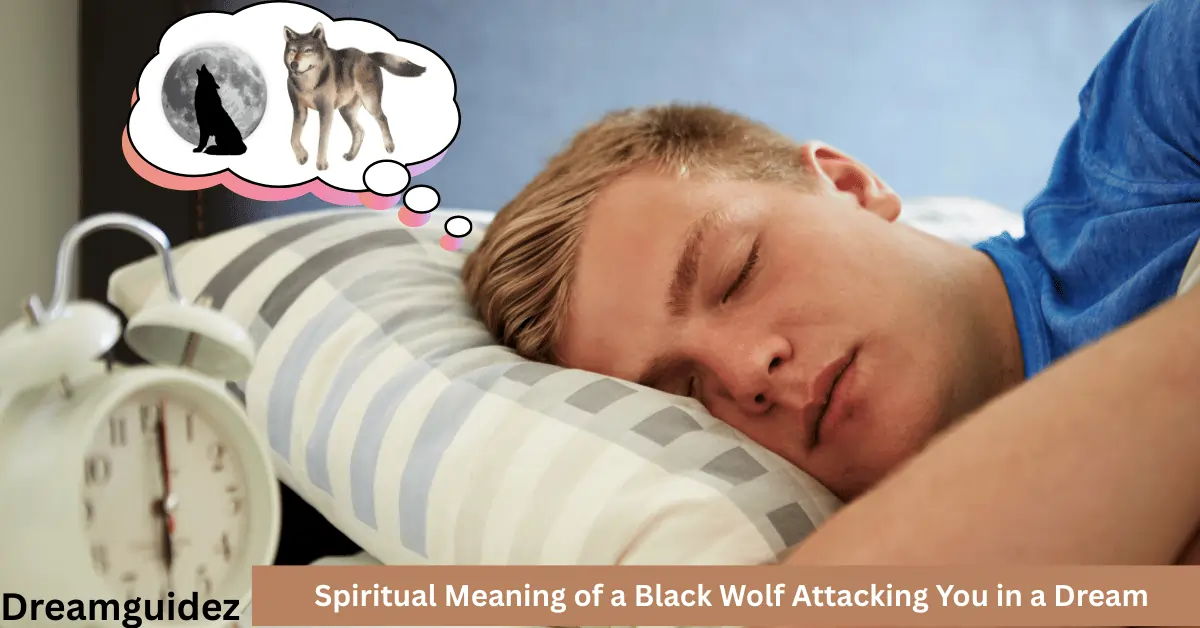 Home 7 Spiritual Meaning of a Black Wolf Attacking You in a Dream