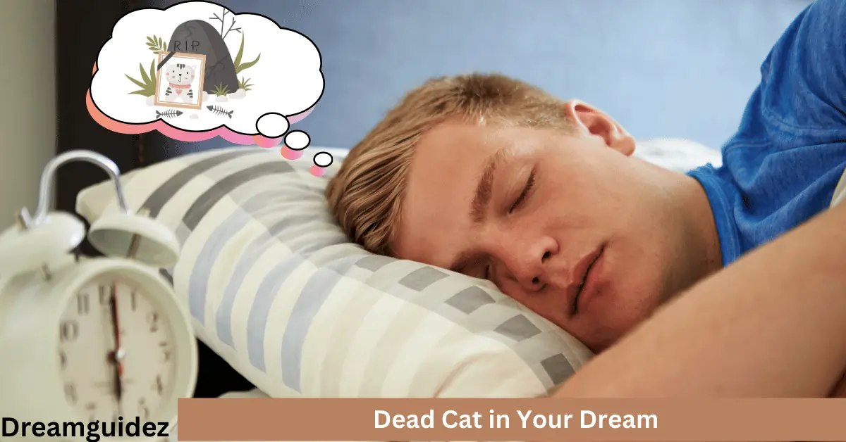 Home 8 What Does It Mean When You Dream About Your Dead Cat Being Alive