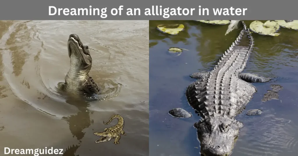 Dreaming of an Alligator in Water – Spiritual Warnings signs 
