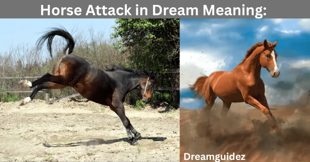 Horse Attack In Dream Meaning: 5 Spiritual Messages you shouldn’t Ignore 3 Horse Attack in Dream Meaning: 5 Spiritual Messages you shouldn’t ignore