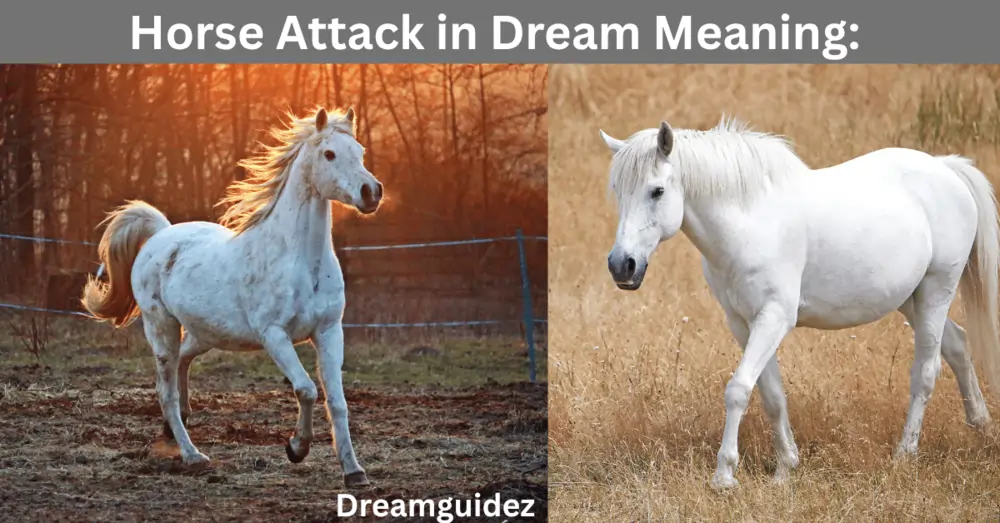 Horse Attack In Dream Meaning: 5 Spiritual Messages you shouldn’t Ignore 4 Horse Attack in Dream Meaning: 5 Spiritual Messages you shouldn’t ignore
