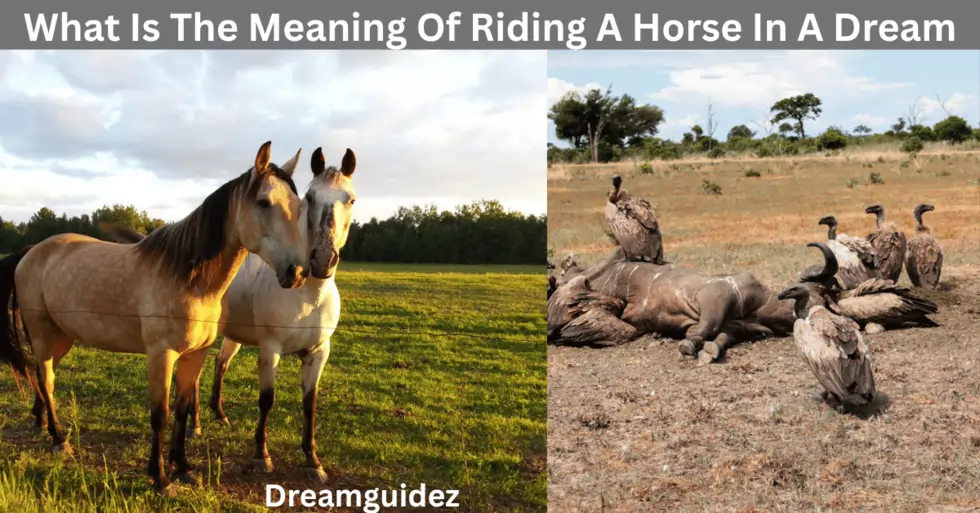 What Is The Meaning Of Riding A Horse In A Dream 4 What Is The Meaning Of Riding A Horse In A Dream