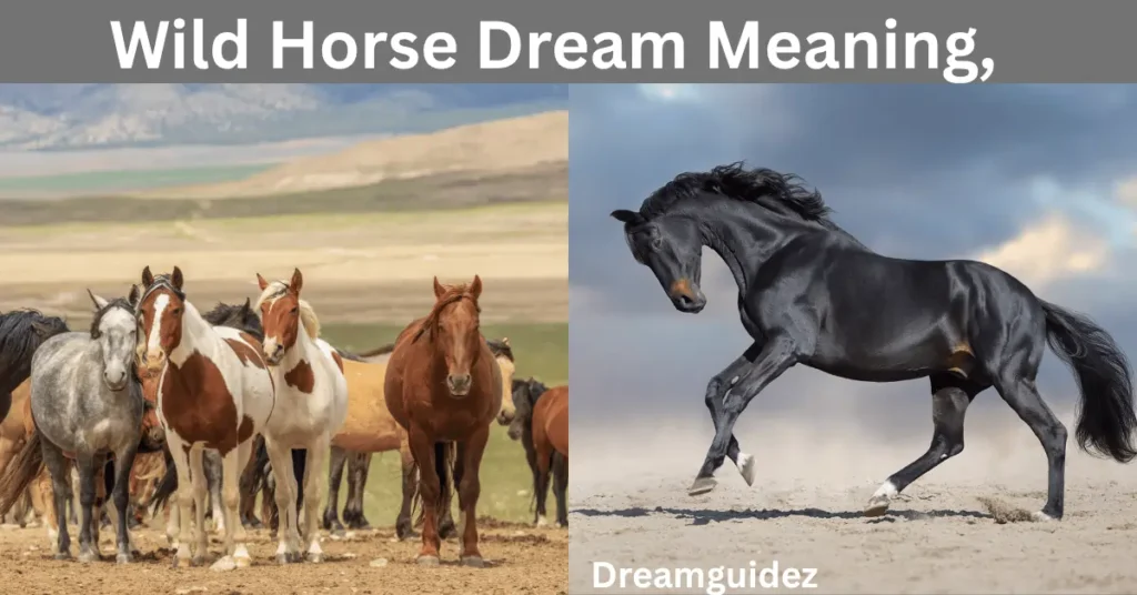Wild Horse Dream Meaning, Symbolism & Spiritual Interpretation 4 Wild Horse Dream Meaning, Symbolism & Spiritual Interpretation