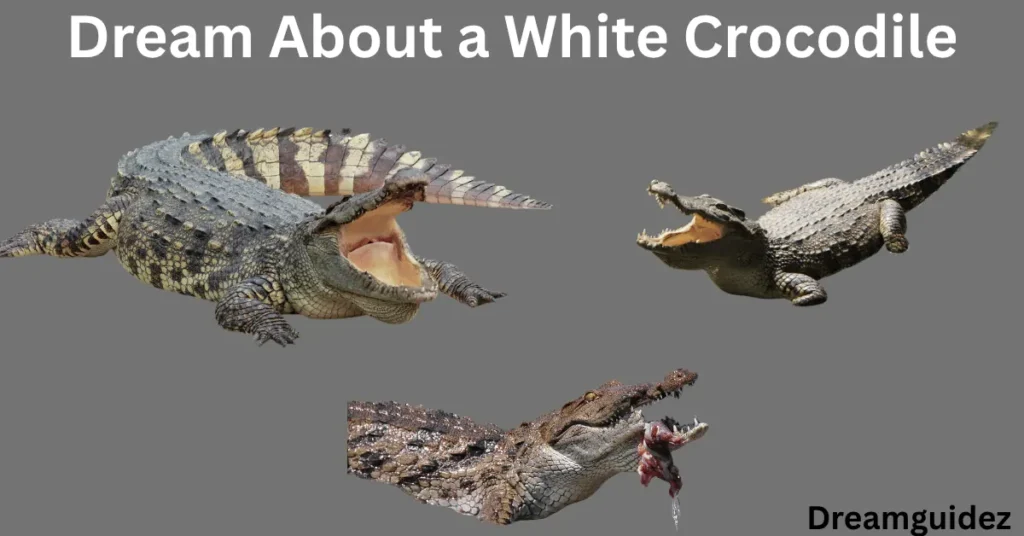 What Does It Mean To Dream About A White Crocodile 4 What Does It Mean to Dream About a White Crocodile