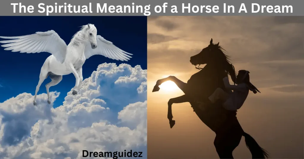 The Spiritual Meaning of a Horse In A Dream 4 The Spiritual Meaning of a Horse In A Dream