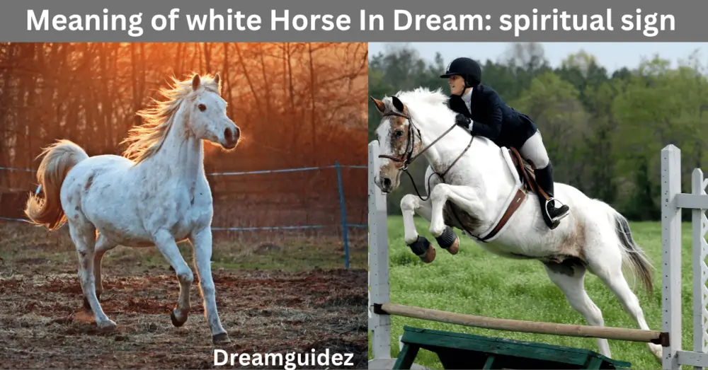 Meaning of white Horse In Dream: spiritual sign you shouldn’t ignore 4 Meaning of white Horse In Dream spiritual sign you shouldn’t ignore