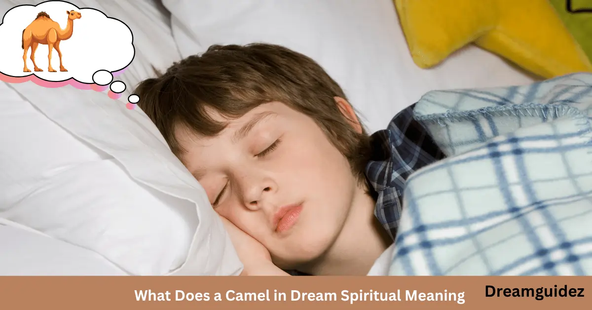 Camel in Dream Spiritual Meaning