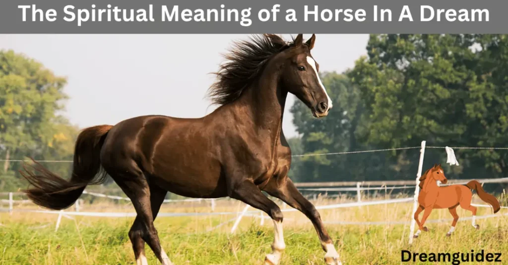 The Spiritual Meaning of a Horse In A Dream 2 The Spiritual Meaning of a Horse In A Dream