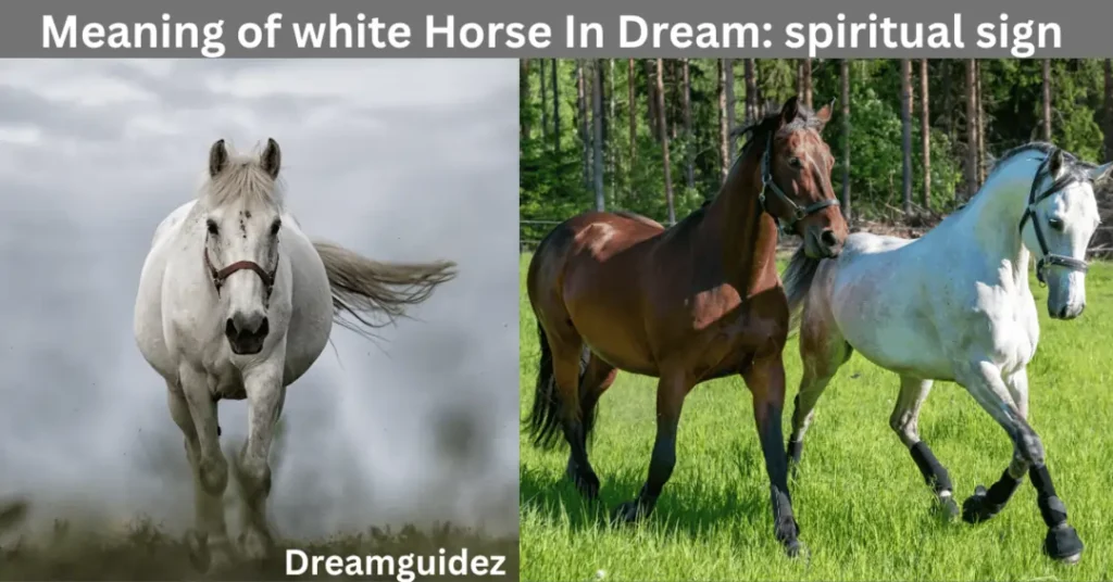 Meaning of white Horse In Dream: spiritual sign you shouldn’t ignore 3 Meaning of white Horse In Dream spiritual sign you shouldn’t ignore