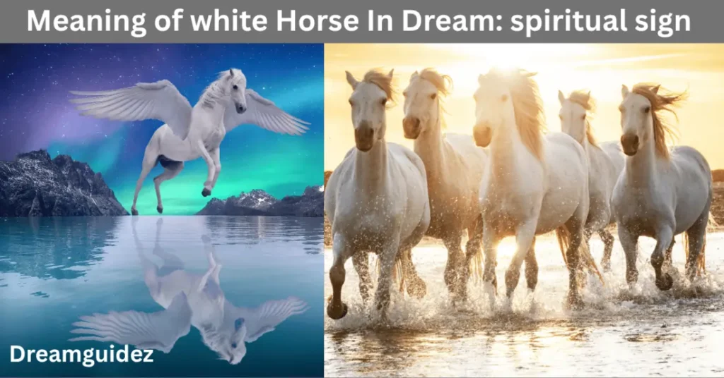 Meaning of white Horse In Dream: spiritual sign you shouldn’t ignore 5 Meaning of white Horse In Dream spiritual sign you shouldn’t ignore