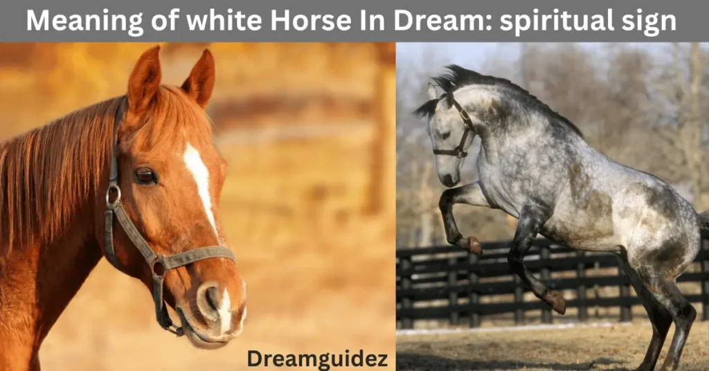Meaning of white Horse In Dream: spiritual sign you shouldn’t ignore 2 Meaning of white Horse In Dream spiritual sign you shouldn’t ignore