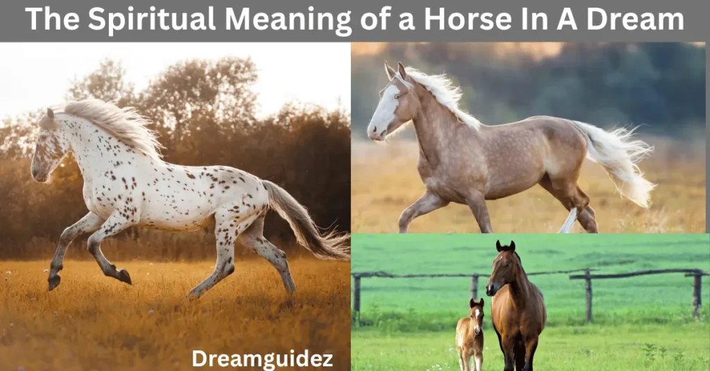 The Spiritual Meaning of a Horse In A Dream 5 The Spiritual Meaning of a Horse In A Dream